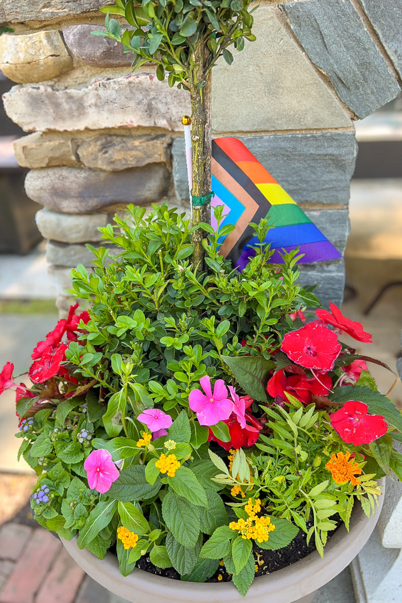 Chalet Signature Topiary Pride 16"