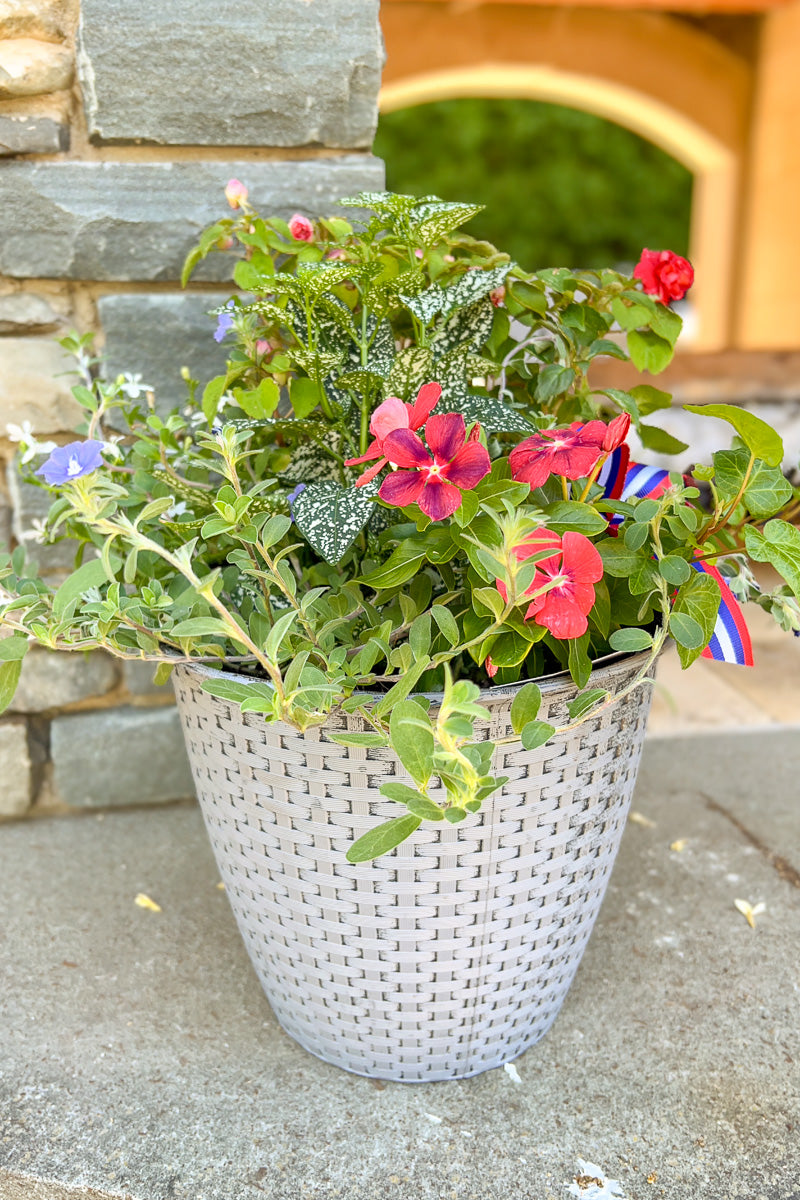 Chalet Signature Festive Fourth Nantucket