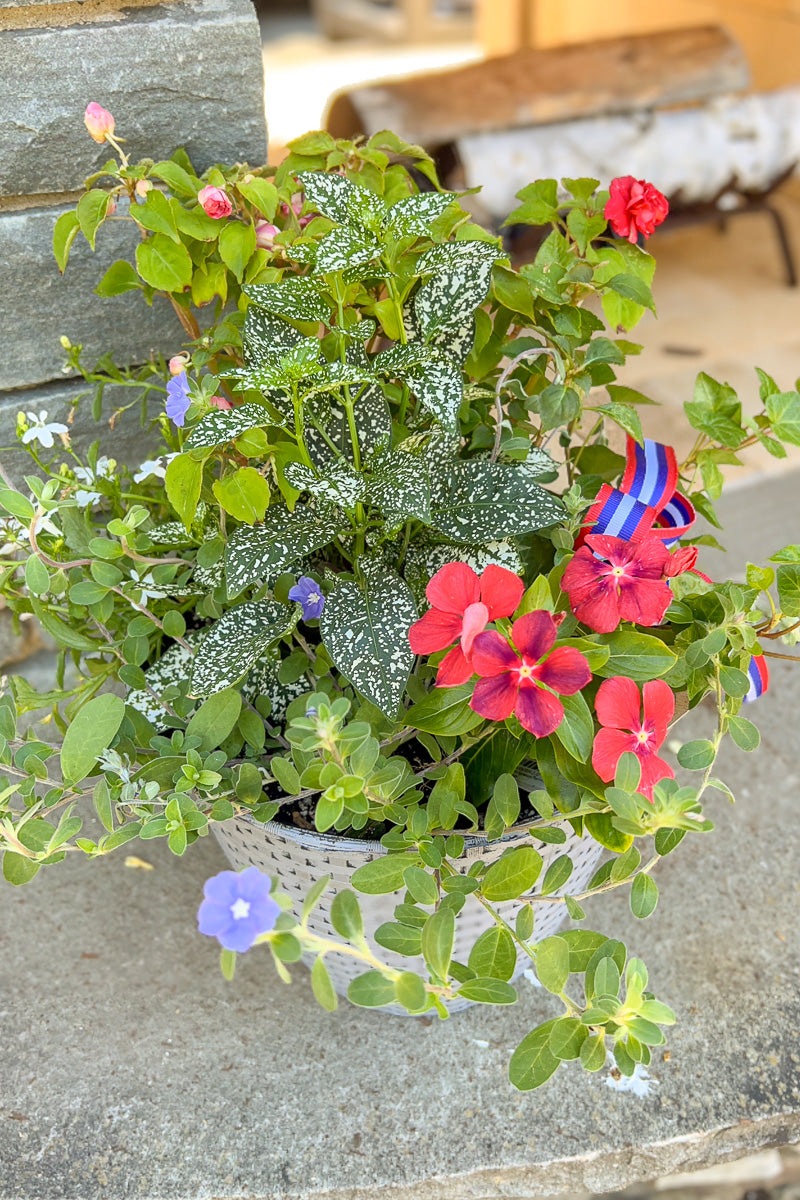 Chalet Signature Festive Fourth Nantucket