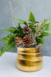 Chalet Signature Golden Fern Tegan 7"