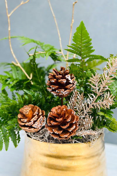 Chalet Signature Golden Fern Tegan 7"