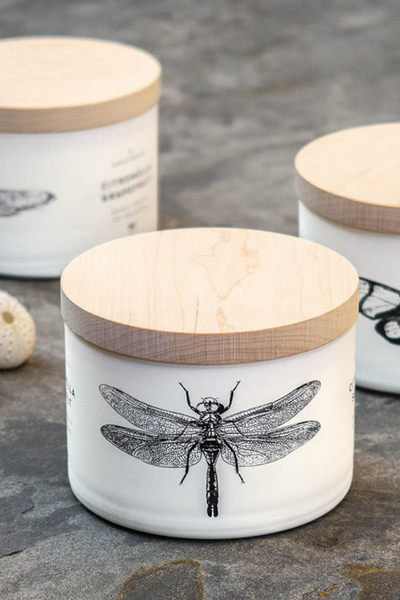 Skeem Citronella 3-Wick Candle Sea Salt