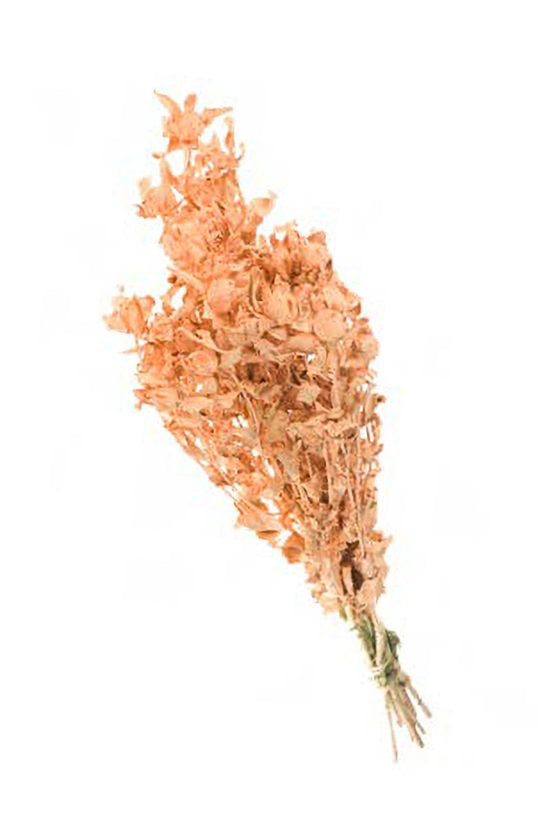 BUNCH BIDENS CARTHAMUS CORAL M