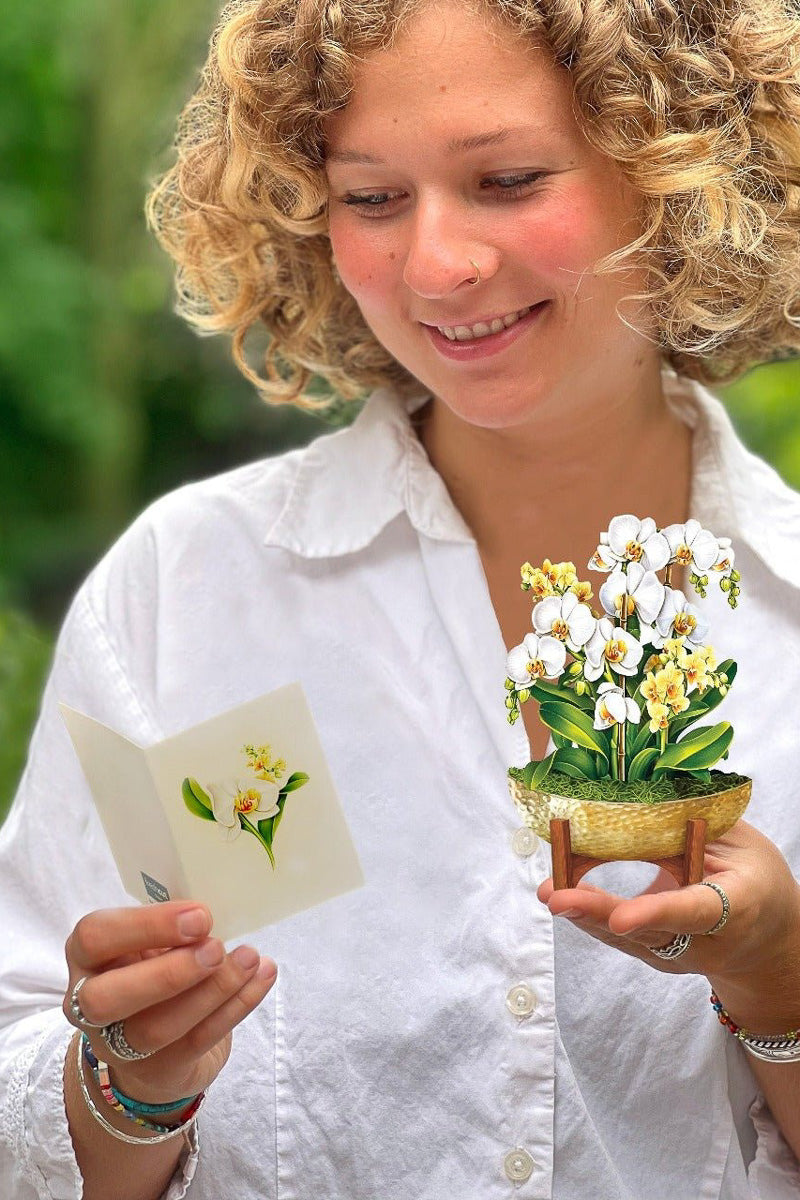 FreshCut Paper Mini Serenity Orchid