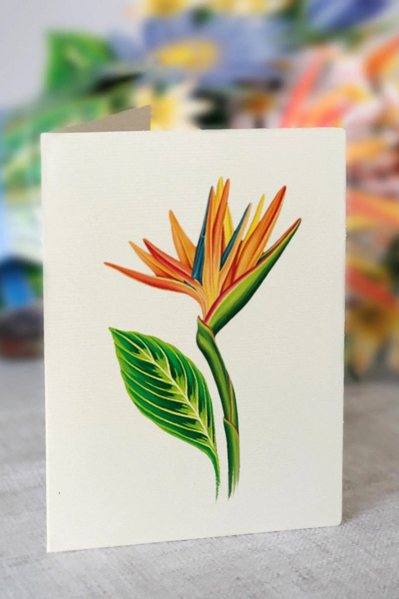 FreshCut Paper Tropical Bloom Bouquet