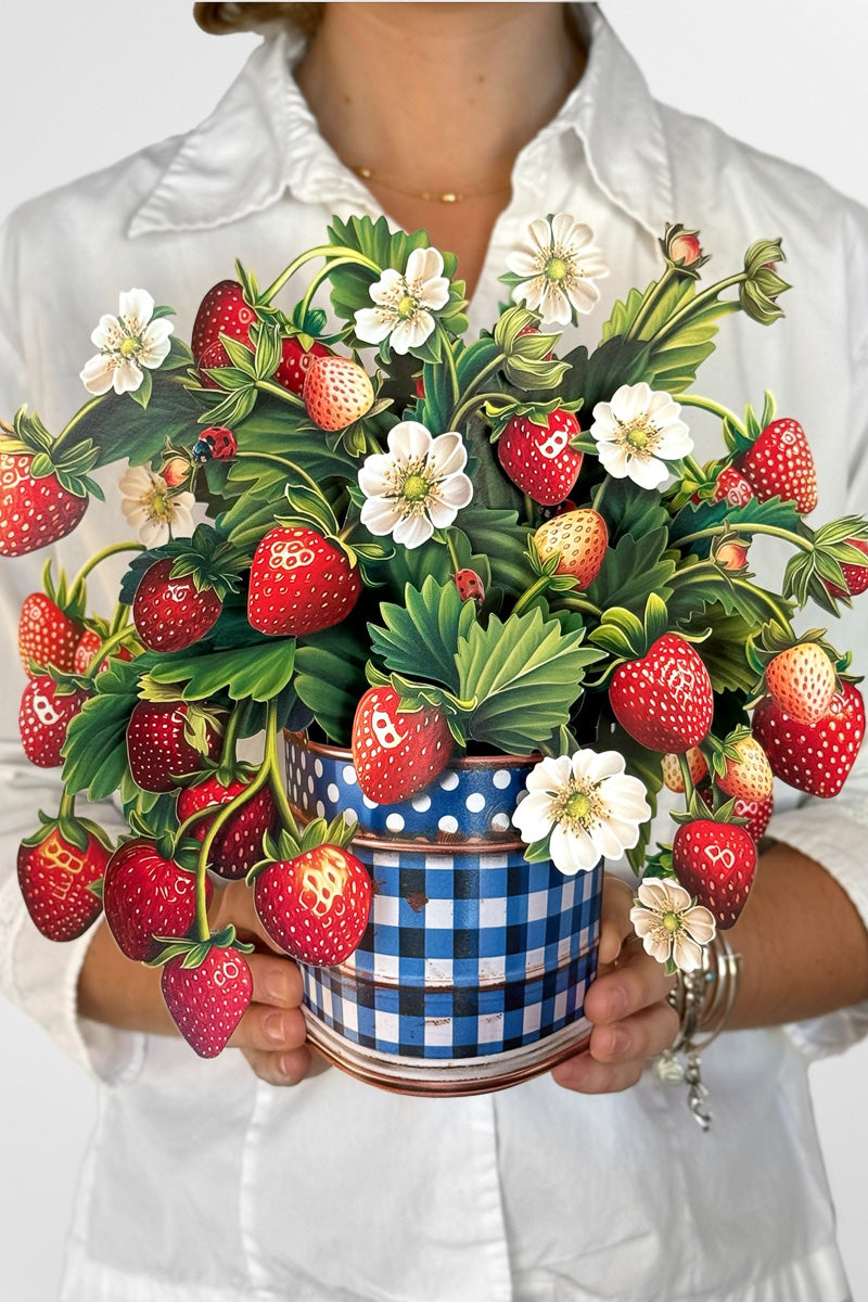 FreshCut Paper Strawberry Blossoms