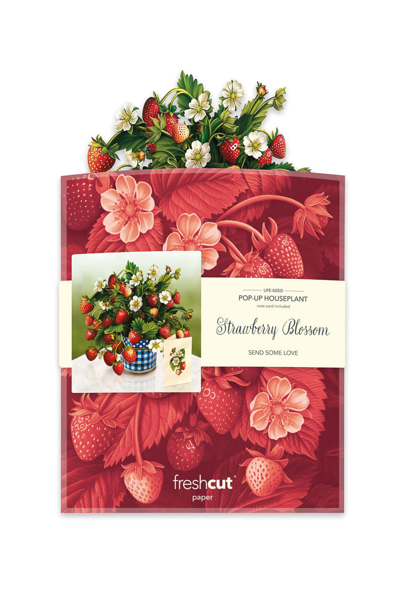FreshCut Paper Strawberry Blossoms