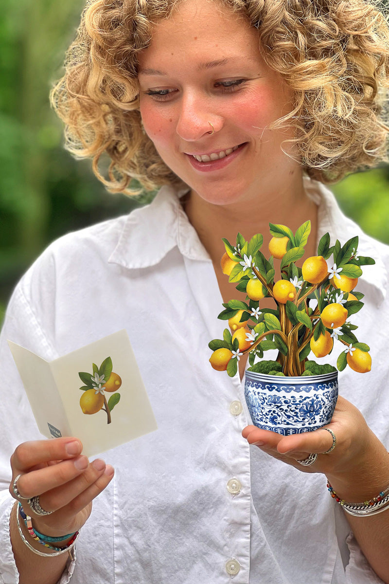 FreshCut Paper Mini Lemon Tree