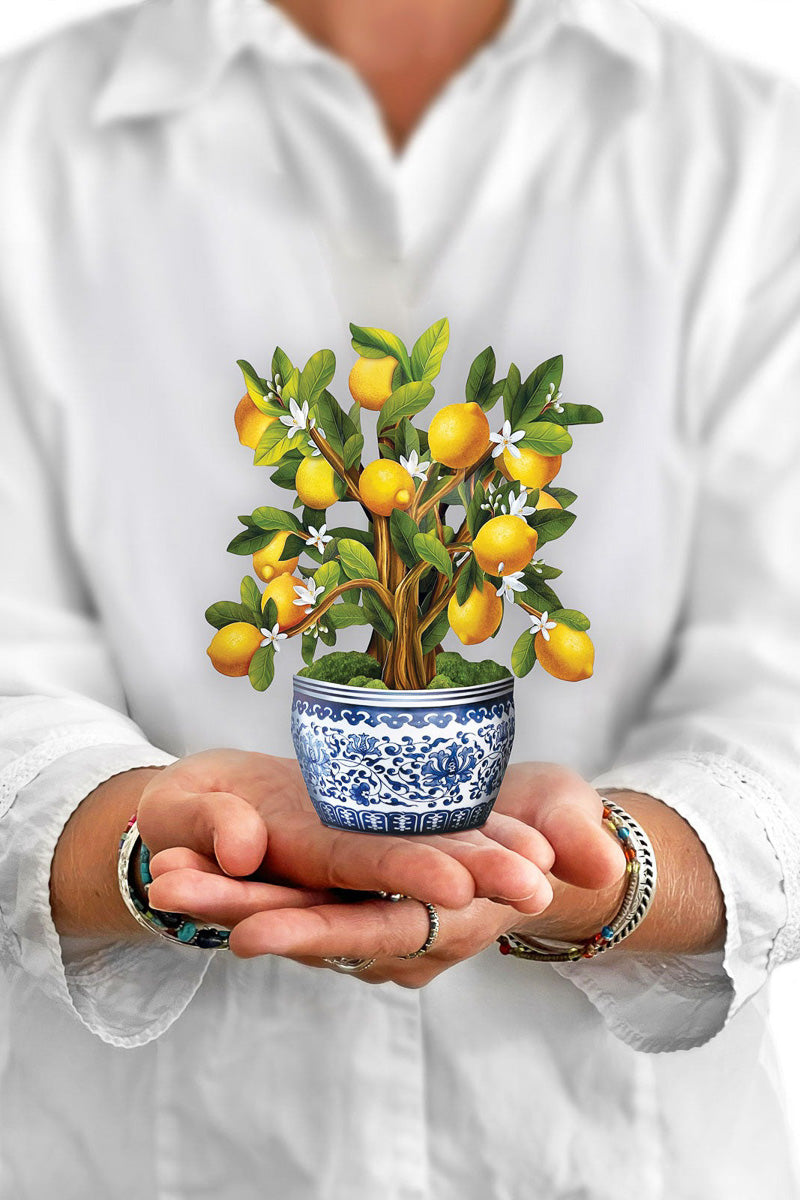 FreshCut Paper Mini Lemon Tree