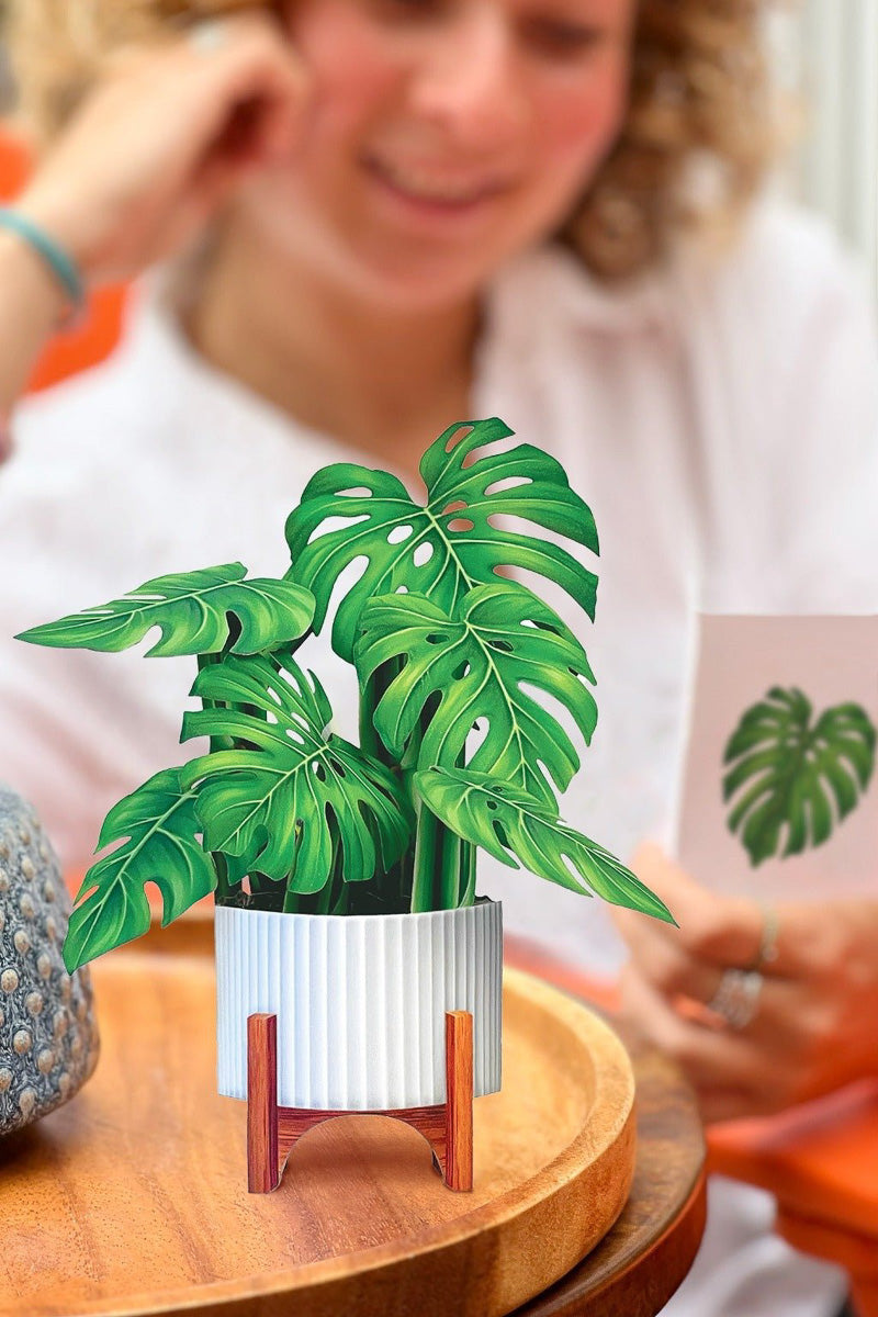 paper monstera plant FreshCut Paper Mini Monstera