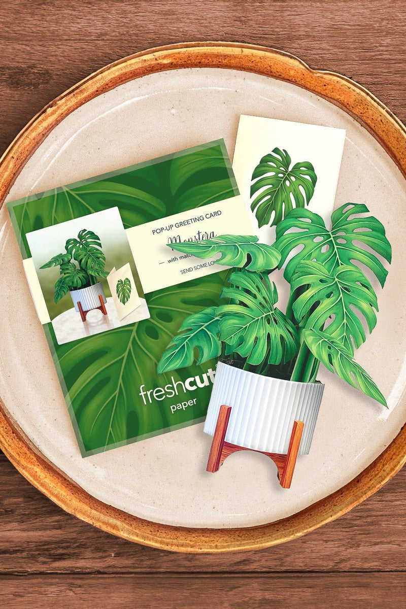 FreshCut Paper Mini Monstera