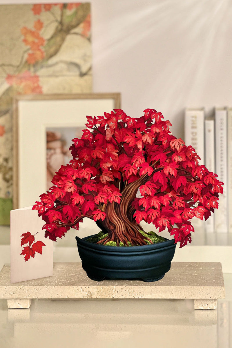 FreshCut Paper Red Maple Tree