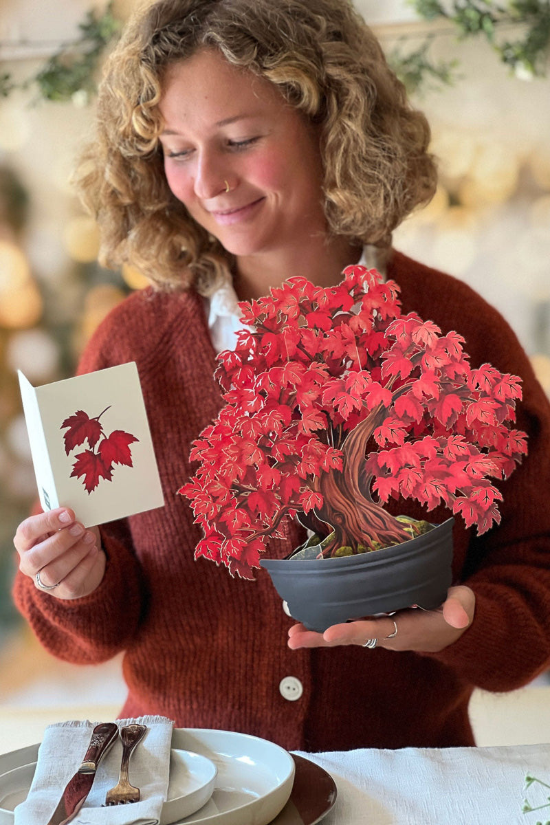 FreshCut Paper Red Maple Tree