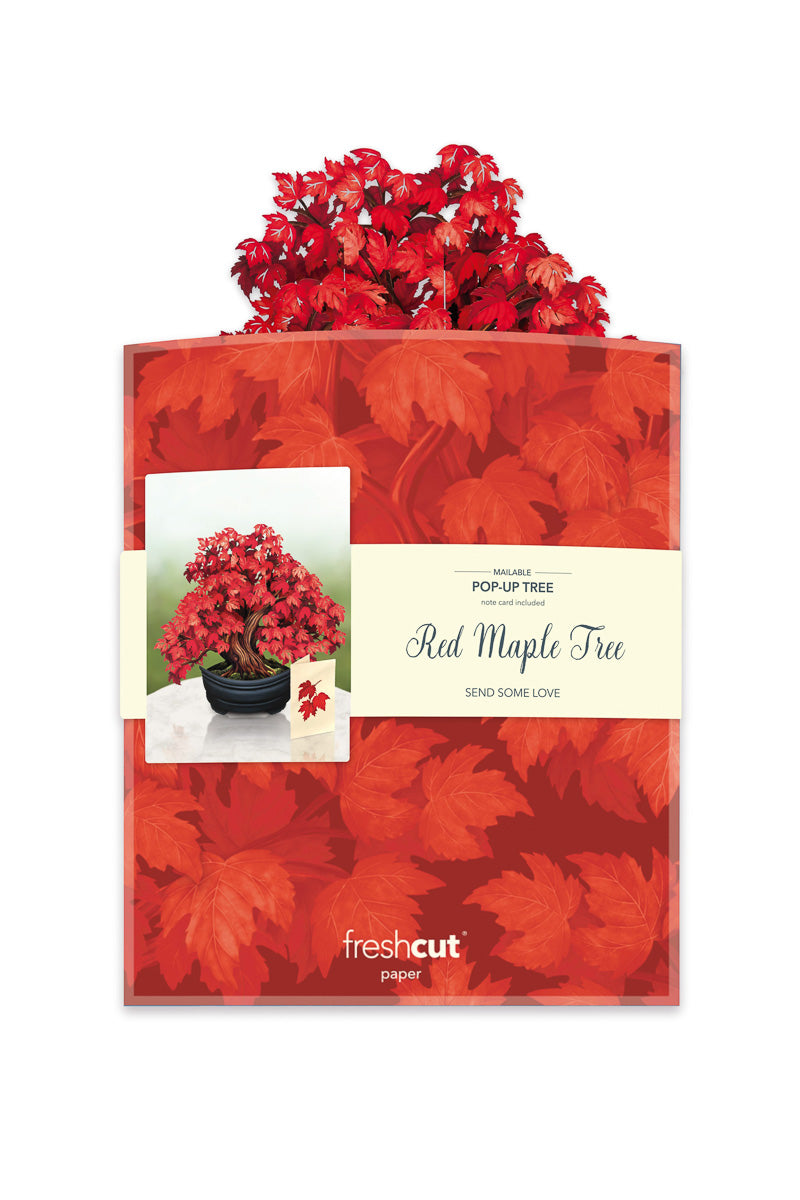 FreshCut Paper Red Maple Tree