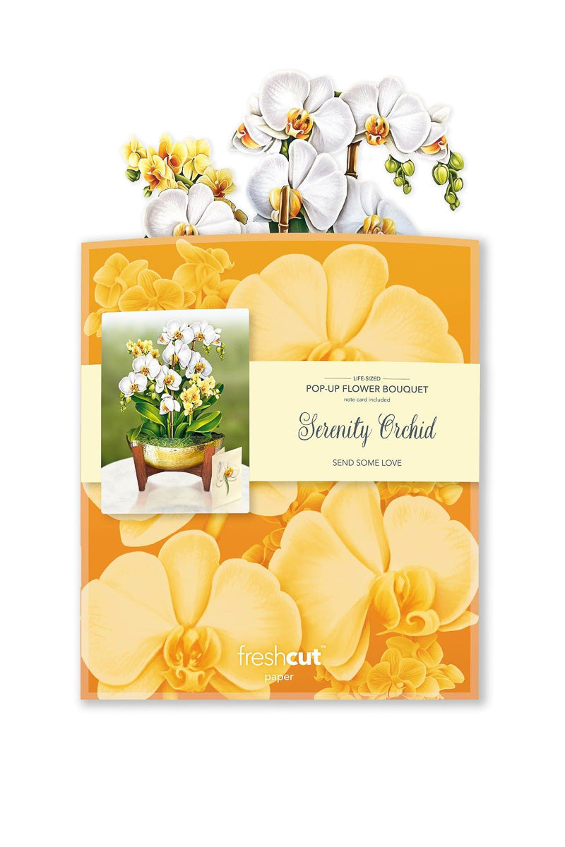 FreshCut Paper Serenity Orchid