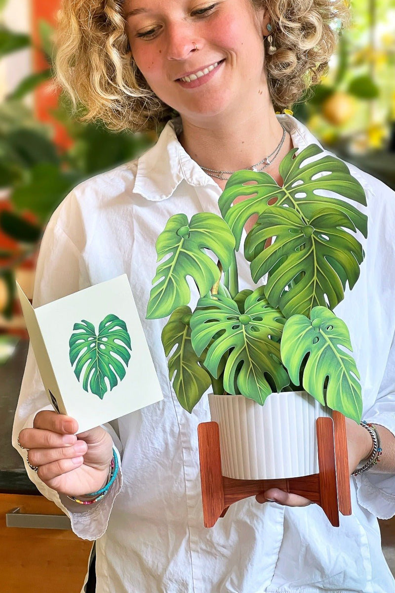 FreshCut Paper Monstera