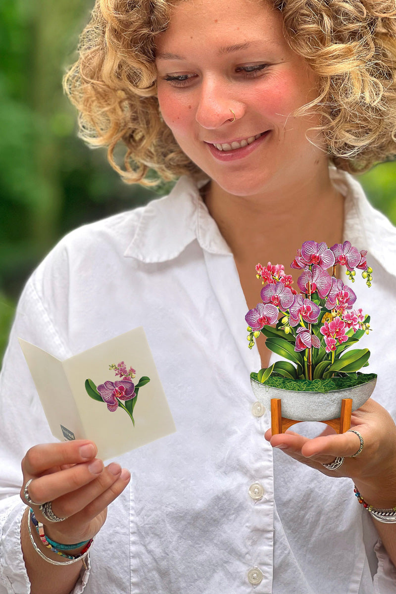 FreshCut Paper Mini Orchid Oasis