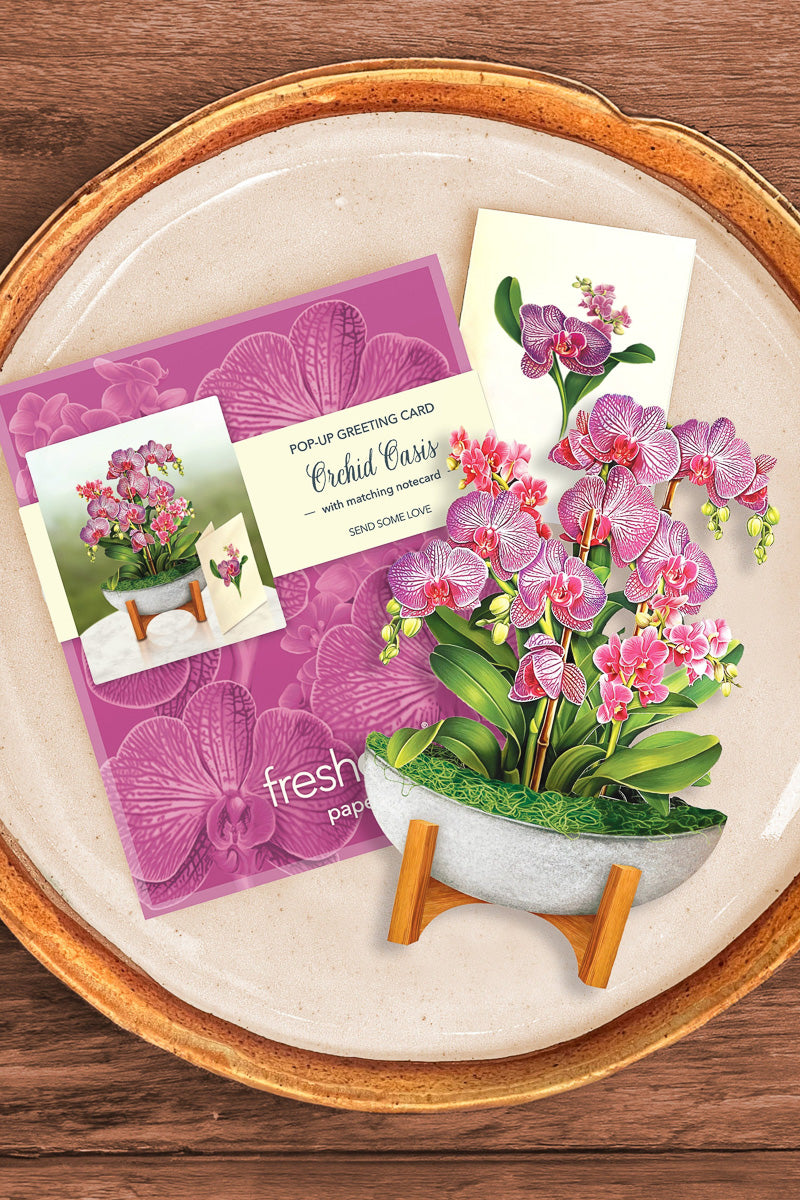 FreshCut Paper Mini Orchid Oasis