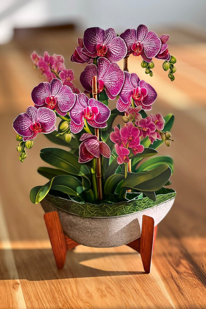 FreshCut Paper Orchid Oasis