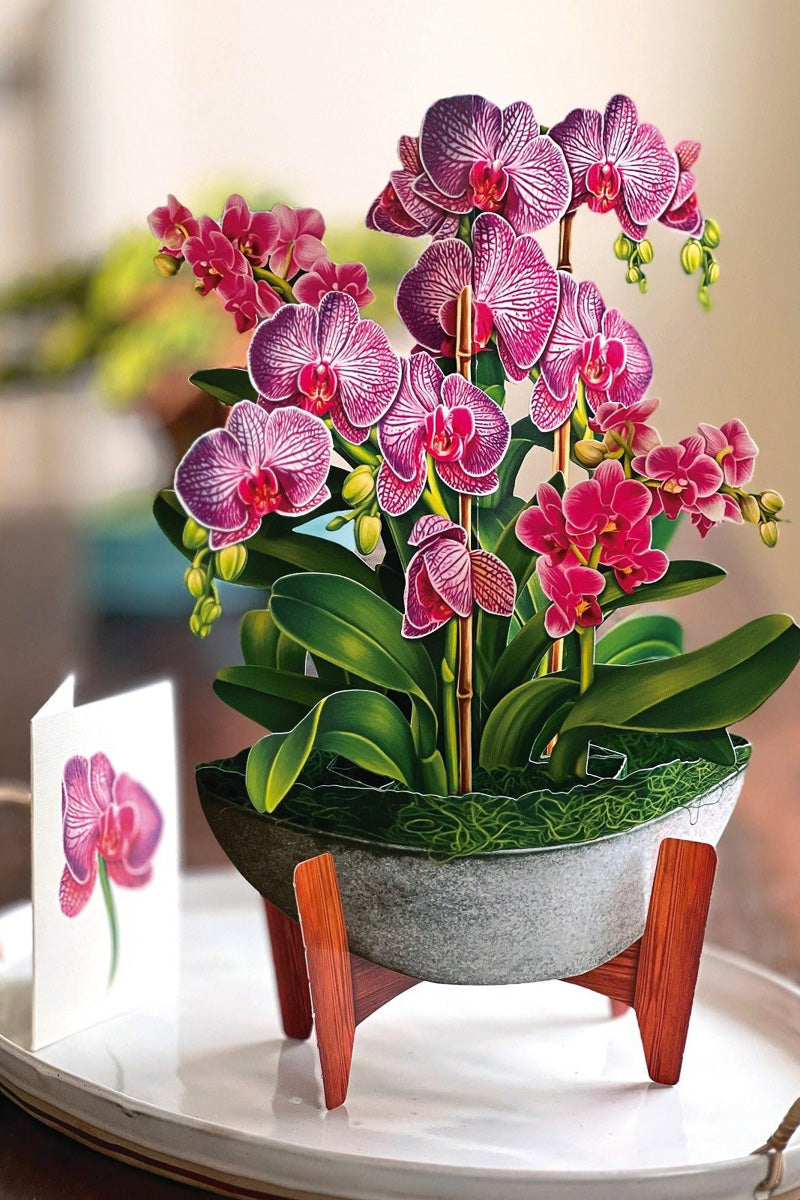 FreshCut Paper Orchid Oasis