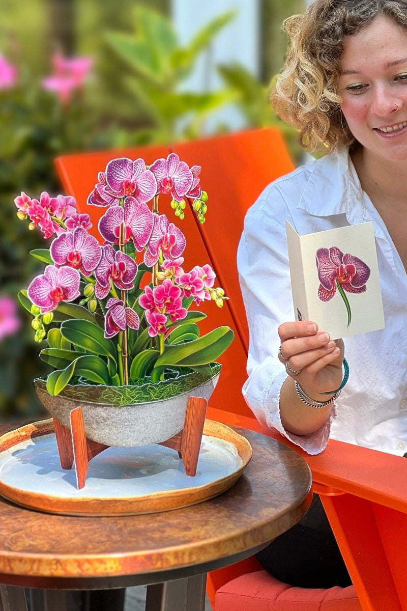 FreshCut Paper Orchid Oasis