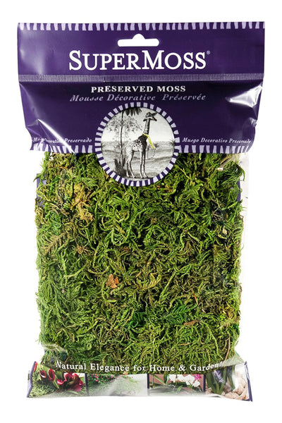 SuperMoss Preserved Forest Moss Fresh Green 2 oz