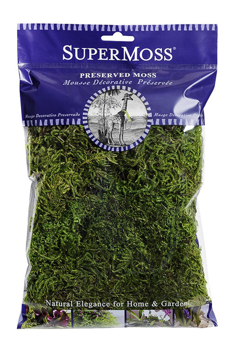 SuperMoss Preserved Forest Moss Fresh Green 8 oz