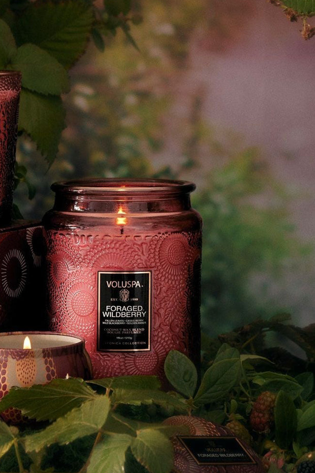 Voluspa Foraged Wildberry Small Jar Candle