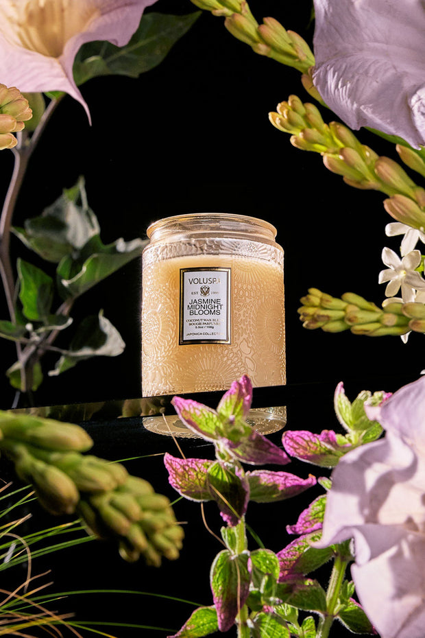 Voluspa Jasmine Midnight Blooms Small Jar Candle
