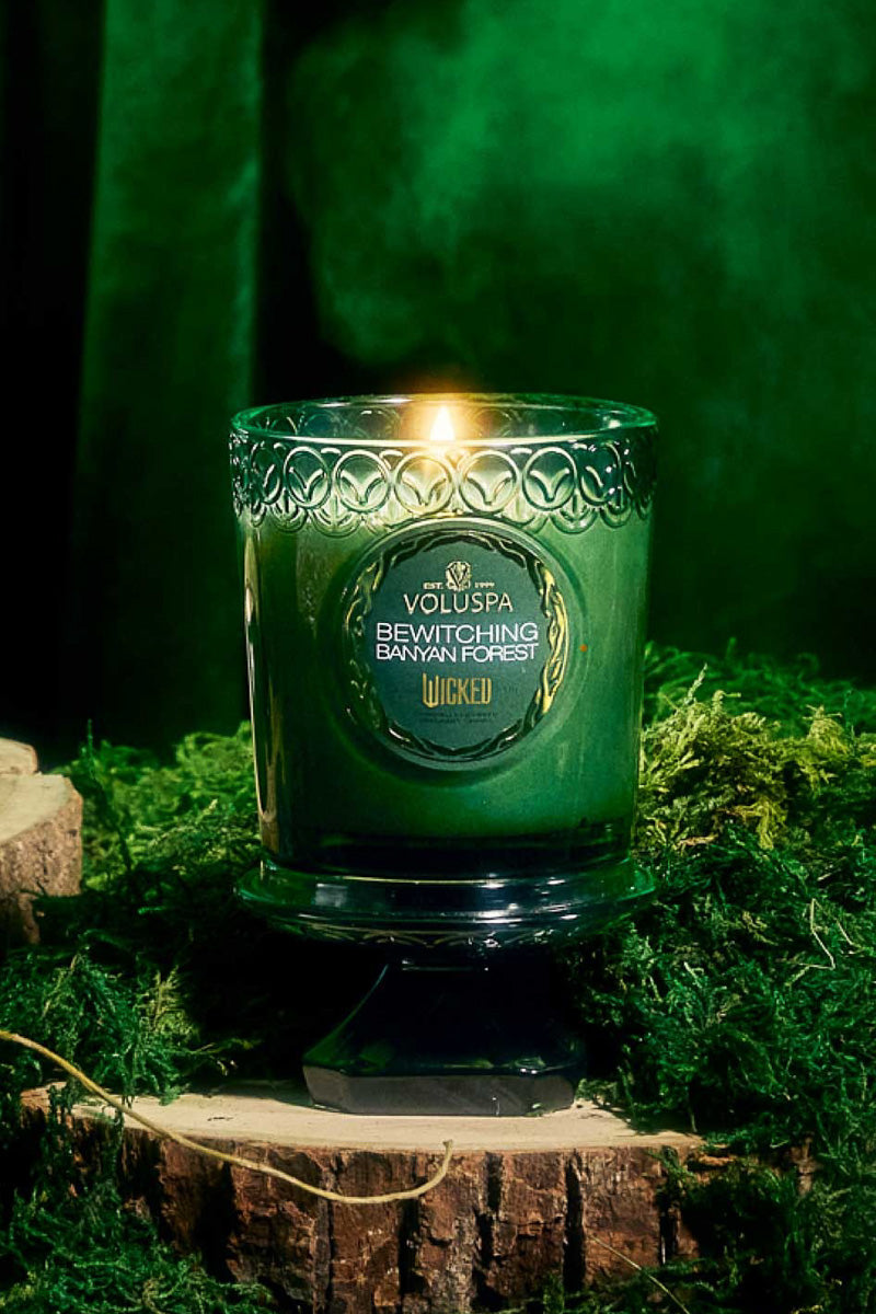 Voluspa Bewitching Banyan Forest Boxed Candle