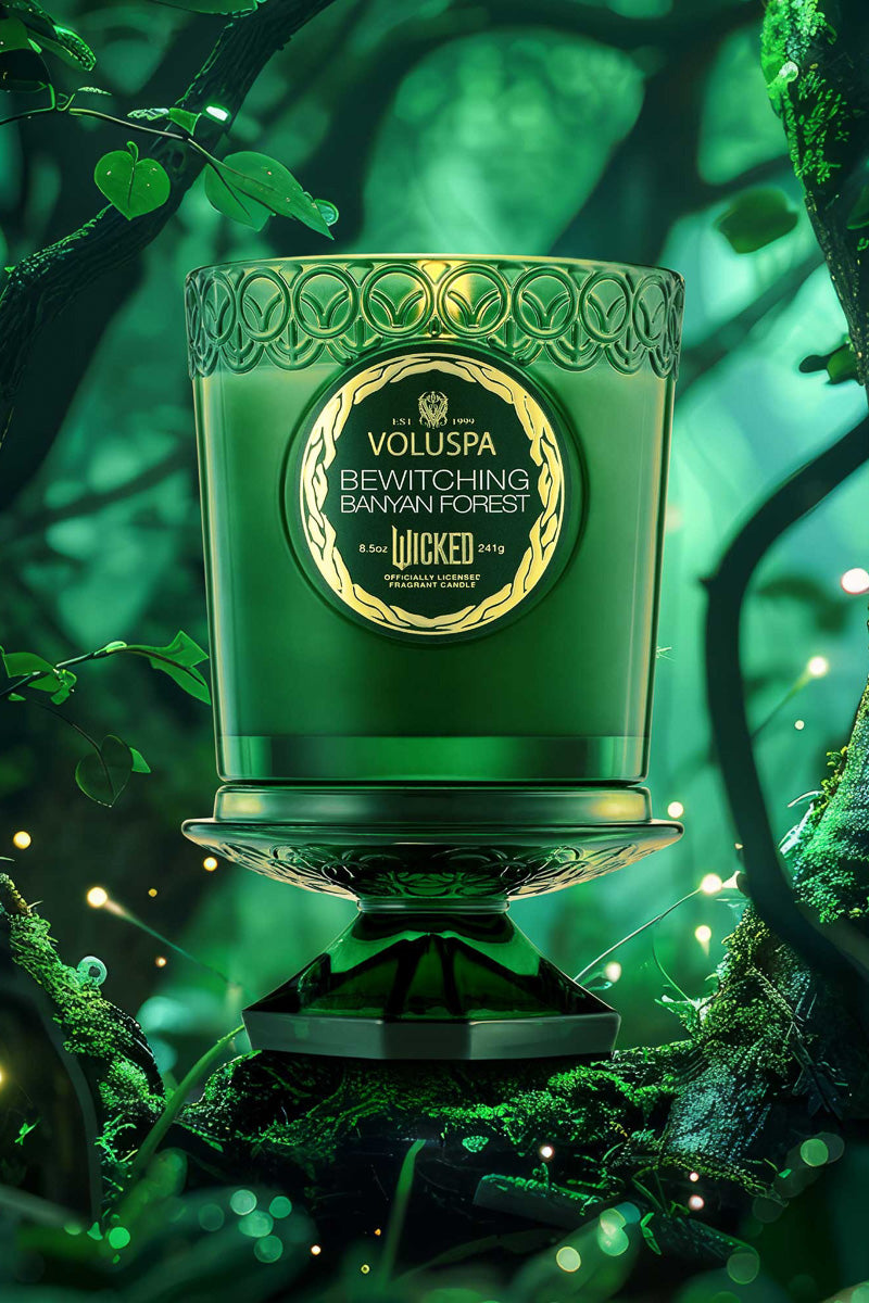 Voluspa Bewitching Banyan Forest Boxed Candle