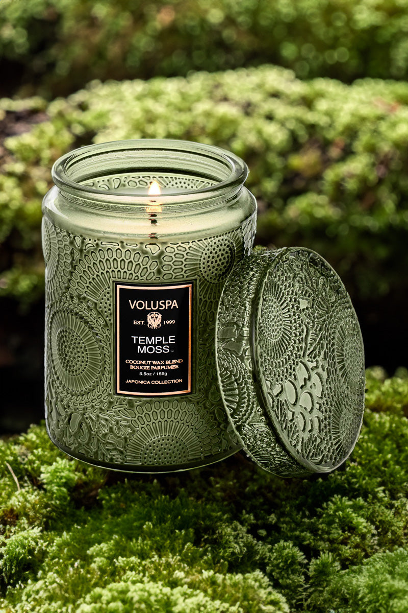 Voluspa Temple Moss Small Jar Candle