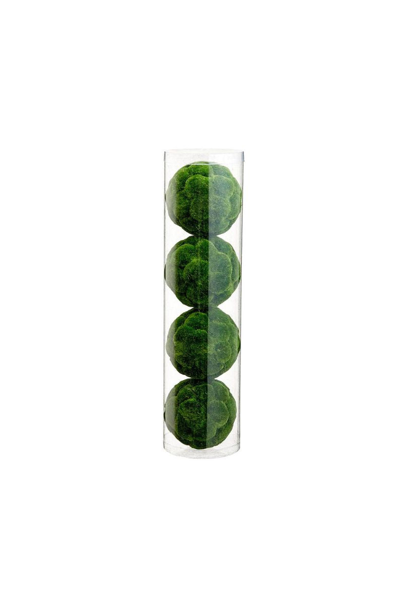 Moss Orbs Tube of 4