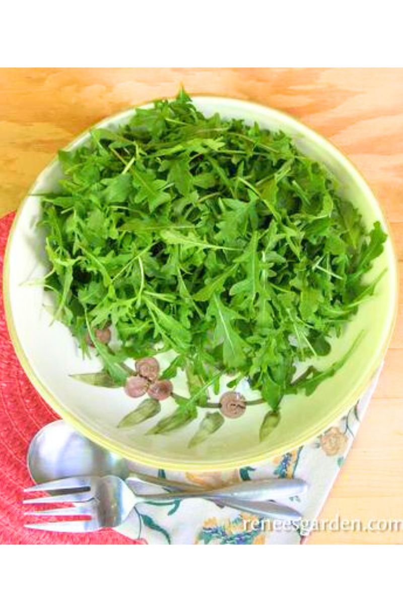 Renee's Garden Heirloom Arugula Rustic Style  Seeds