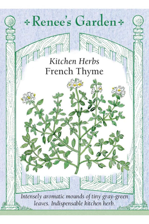 Renee's Garden Kitchen Herbs French Thyme Seeds
