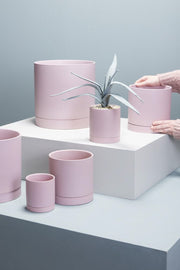 Pot, Romey 8" X 8" Pink