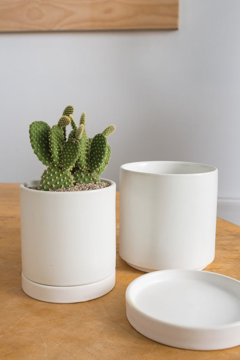 Romey Pot with Saucer 5"x 5.75" White