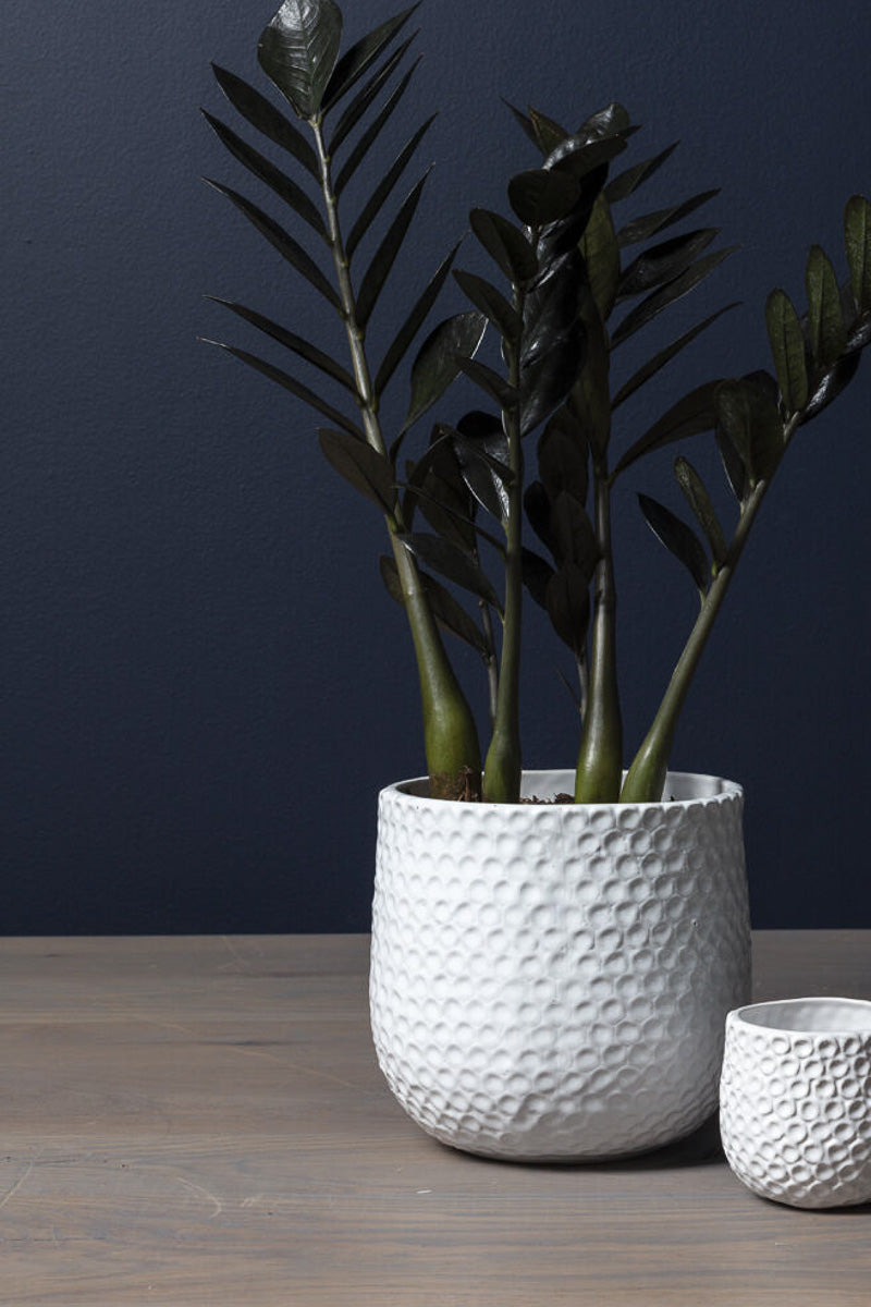 Ginny Pot 6.5" x 6.75"