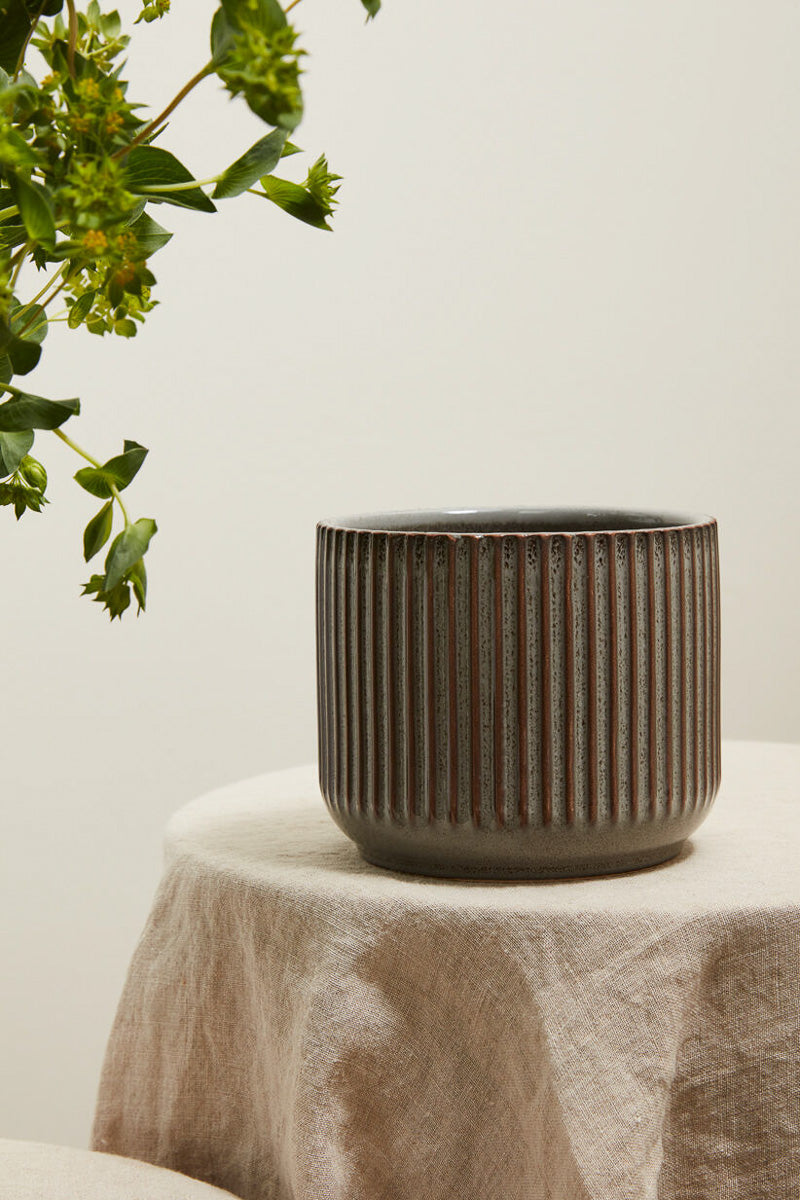 Habitat Pot 5.25"x4.25"