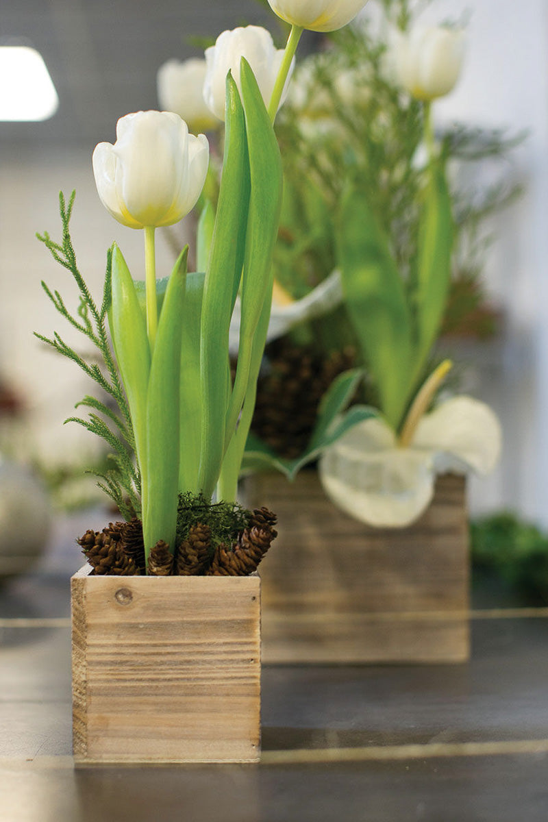 Woodland Planter 4"x 4" Natural