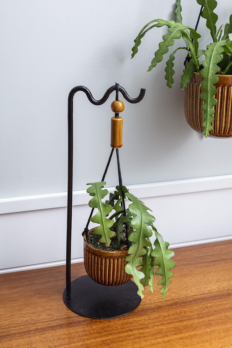 Irwin Hanging Pot 3"x3.25"