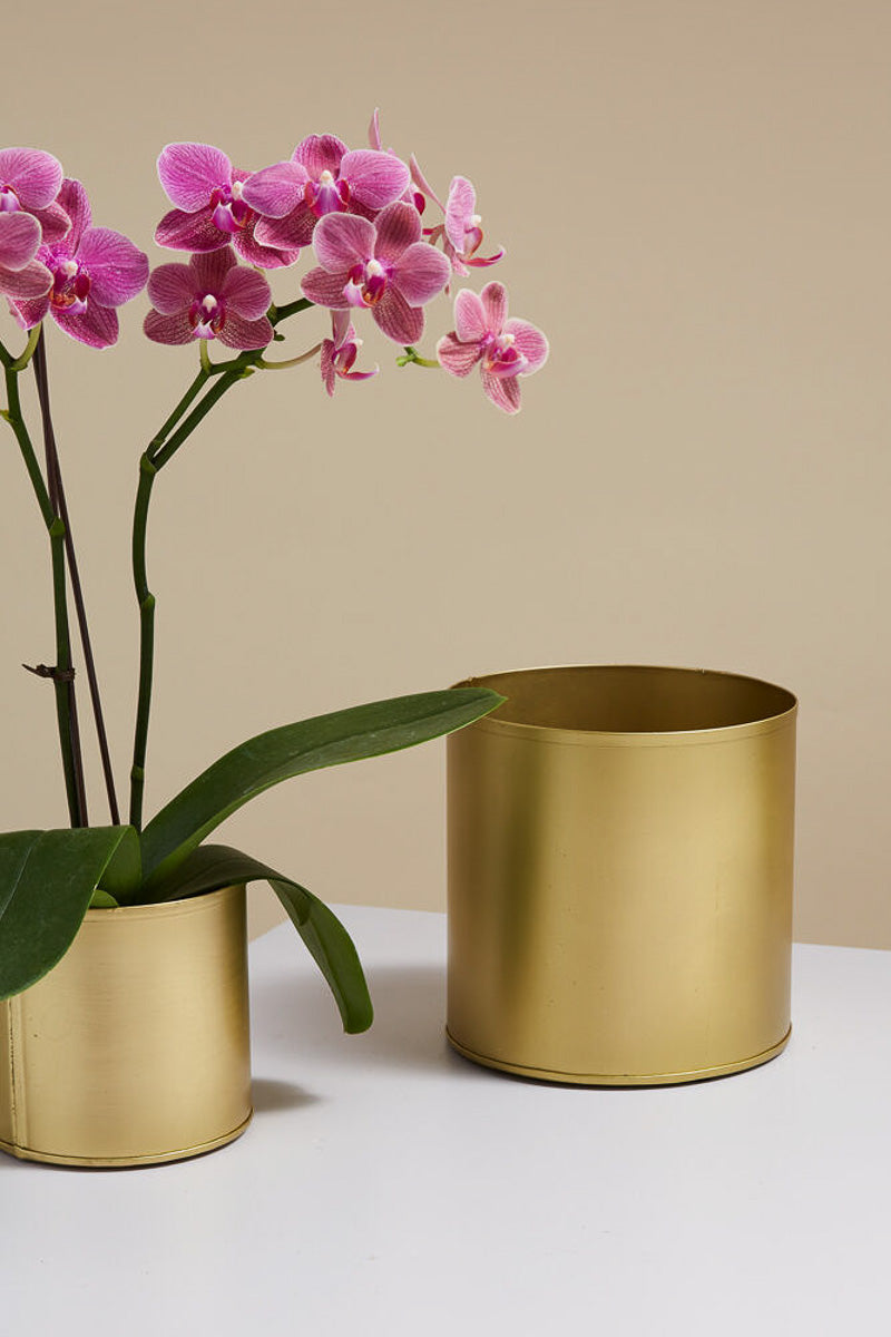 Bryant Pot 6.25"x 6" Gold