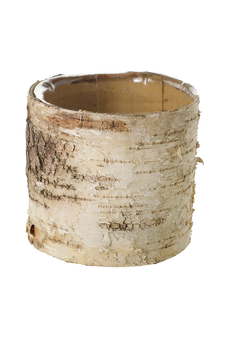 Birch Cylinder 4.75"X 4.75"