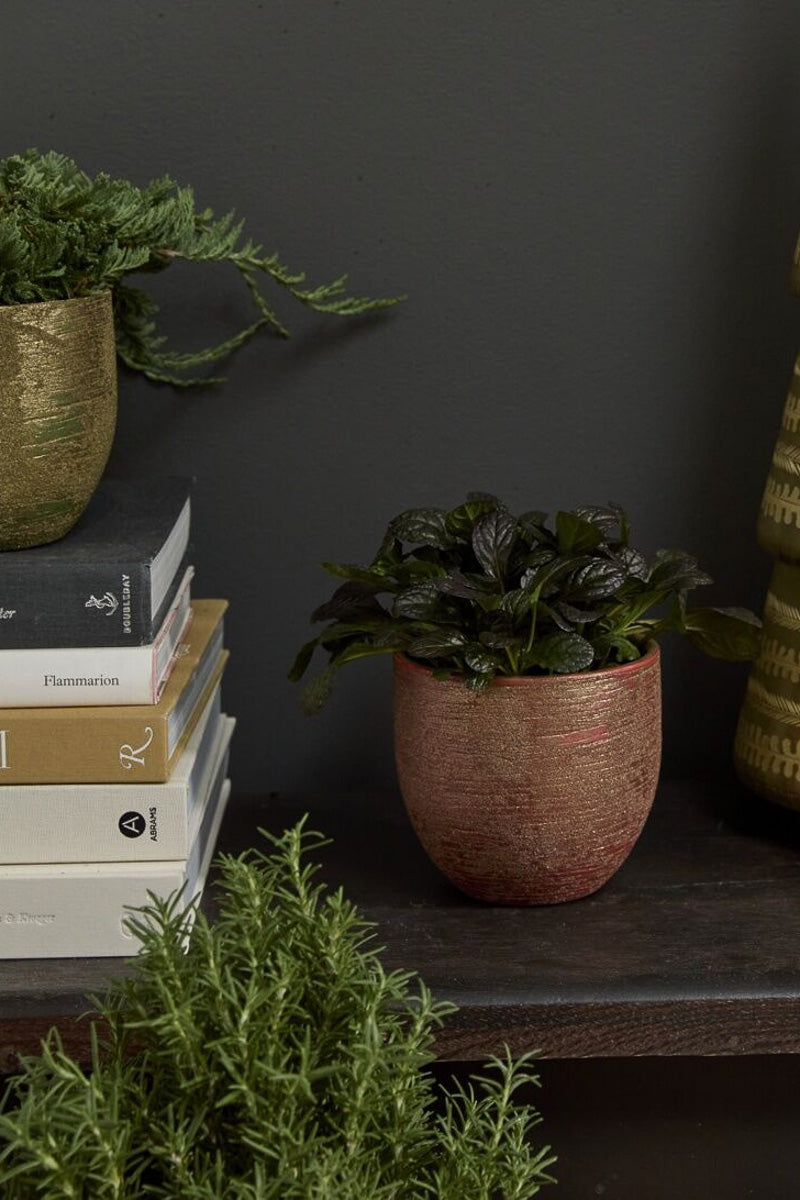 Pigment Pot 5.25"x 5" Red