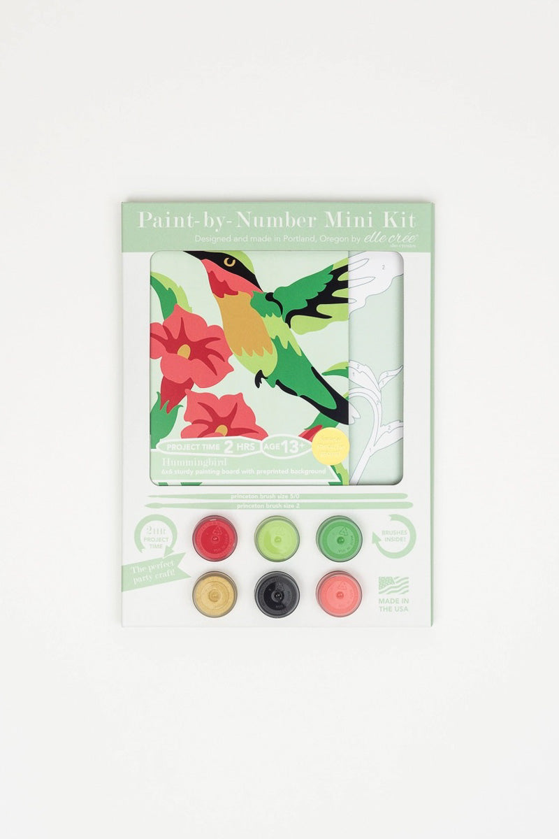 Hummingbird Mini Paint-by-Number Kit