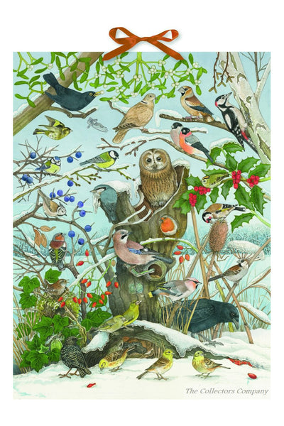 Birds in Winter Birdsong Advent Calendar
