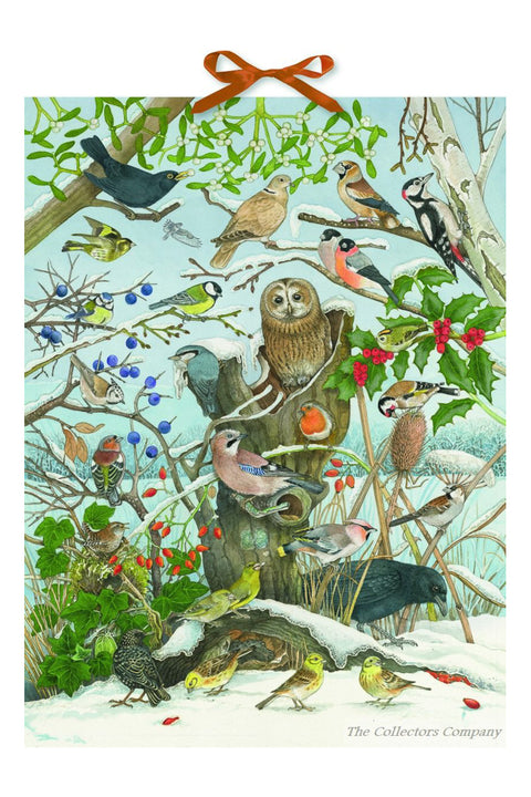 Alison Gardiner Birds in Winter Birdsong Advent Calendar