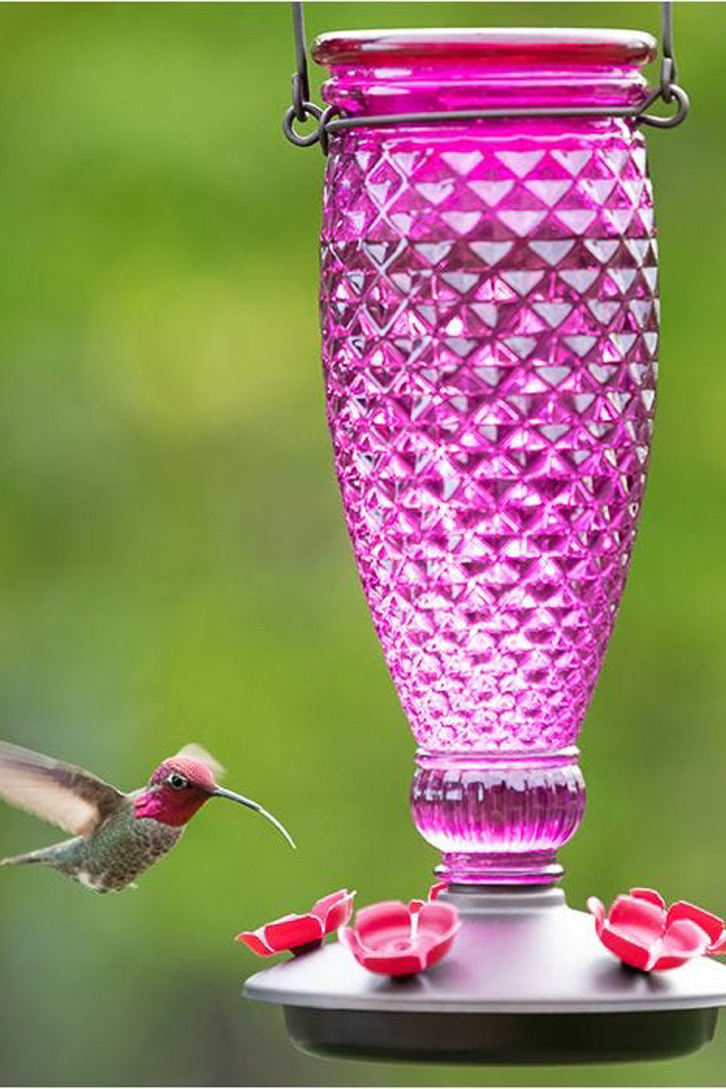 Perky Pet Ready To Use Hummingbird Nectar Clear