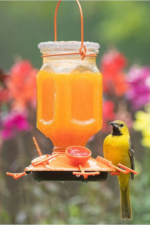 Perky Pet Ready To Use Hummingbird Nectar Orange