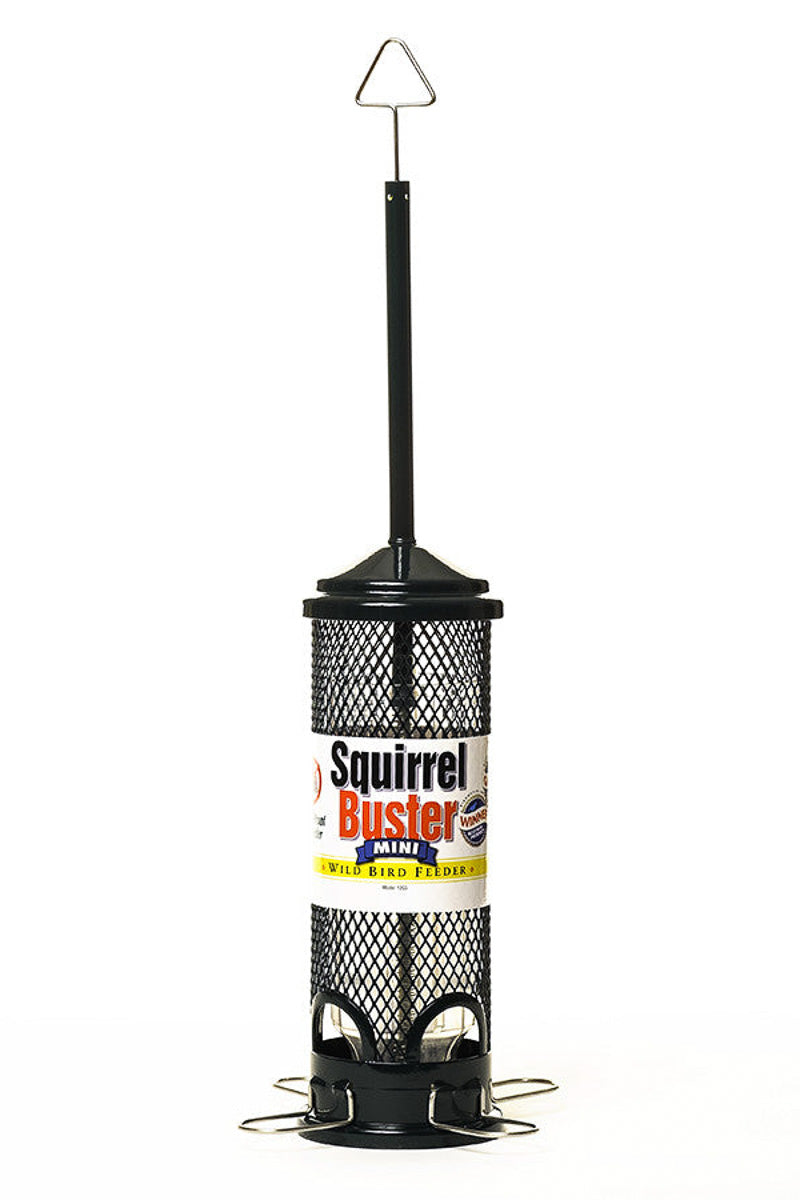 Brome Bird Care Mini Squirrel Buster Plus Feeder